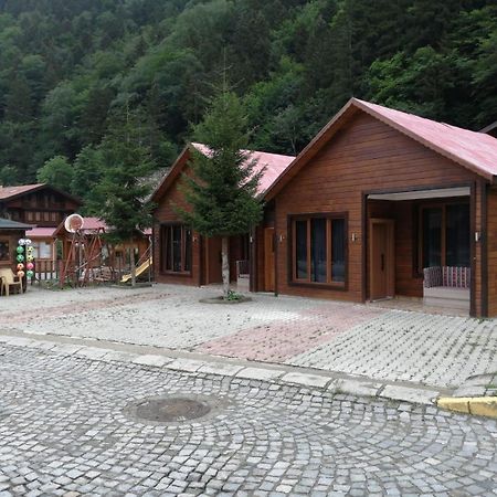 Zeren Apart Bungalov Uzungöl Εξωτερικό φωτογραφία