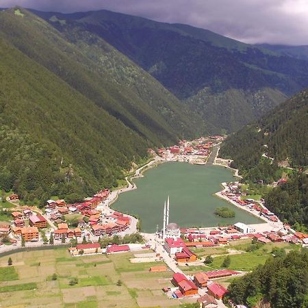 Zeren Apart Bungalov Uzungöl Εξωτερικό φωτογραφία