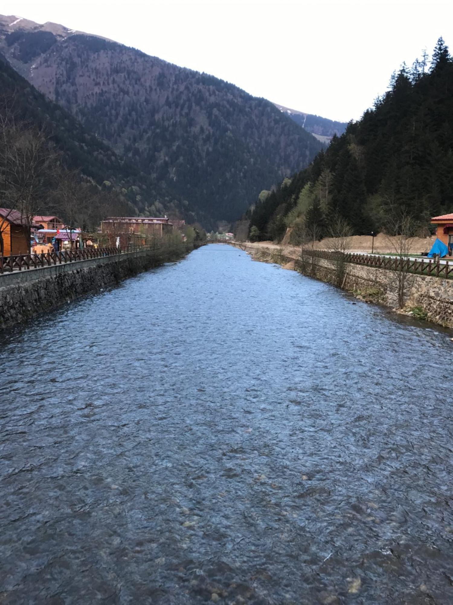 Zeren Apart Bungalov Uzungöl Εξωτερικό φωτογραφία
