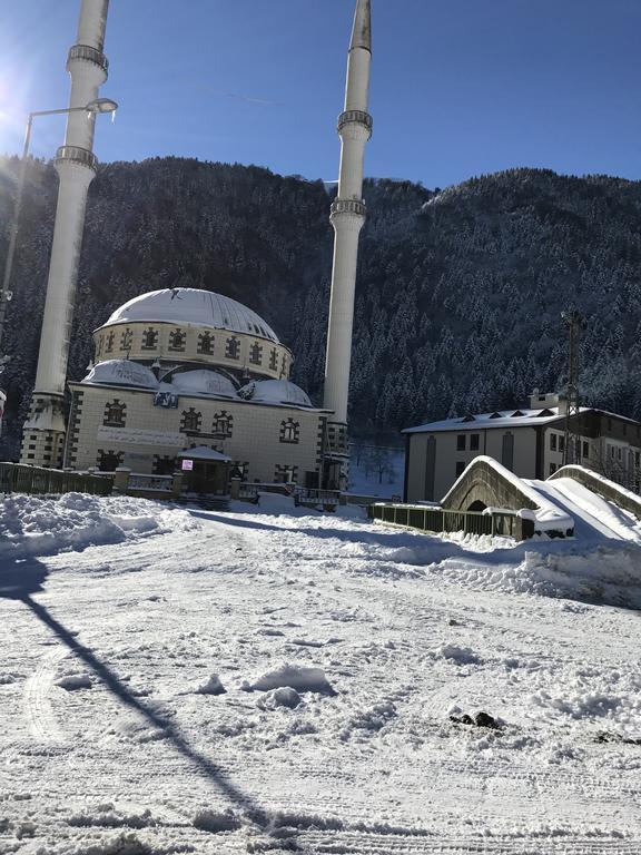 Zeren Apart Bungalov Uzungöl Εξωτερικό φωτογραφία