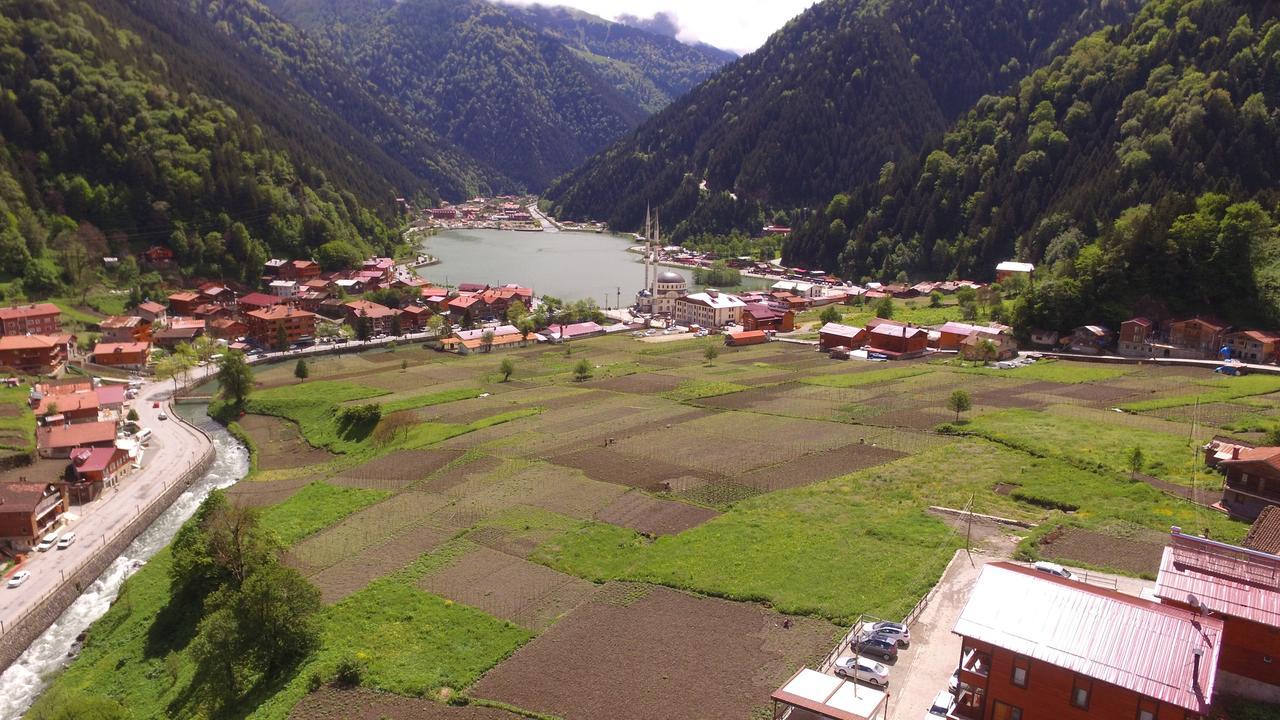 Zeren Apart Bungalov Uzungöl Εξωτερικό φωτογραφία
